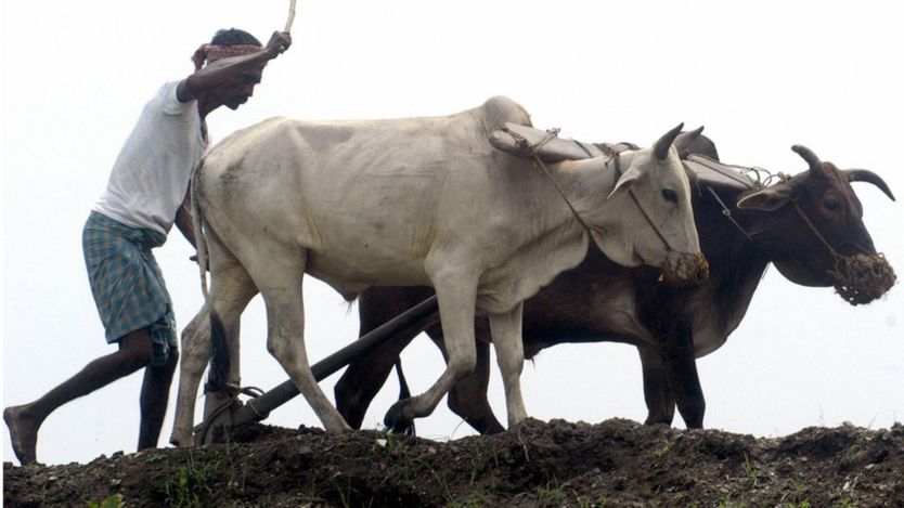 সর্বকালের সর্বশ্রেষ্ঠ বাঙালি: বিবিসি বাংলার জরিপে চতুর্থ স্থানে এ কে ফজলুল হক-অবিভক্ত বাংলার প্রথম প্রধানমন্ত্রী 5 বাংলার কৃষক