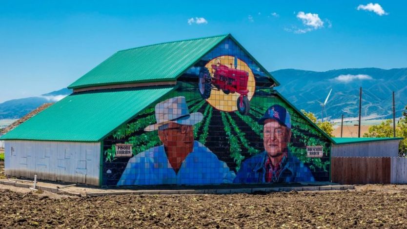 Nông dân Mỹ là người chịu tổn thương từ cuộc chiến thương mại Mỹ-Trung