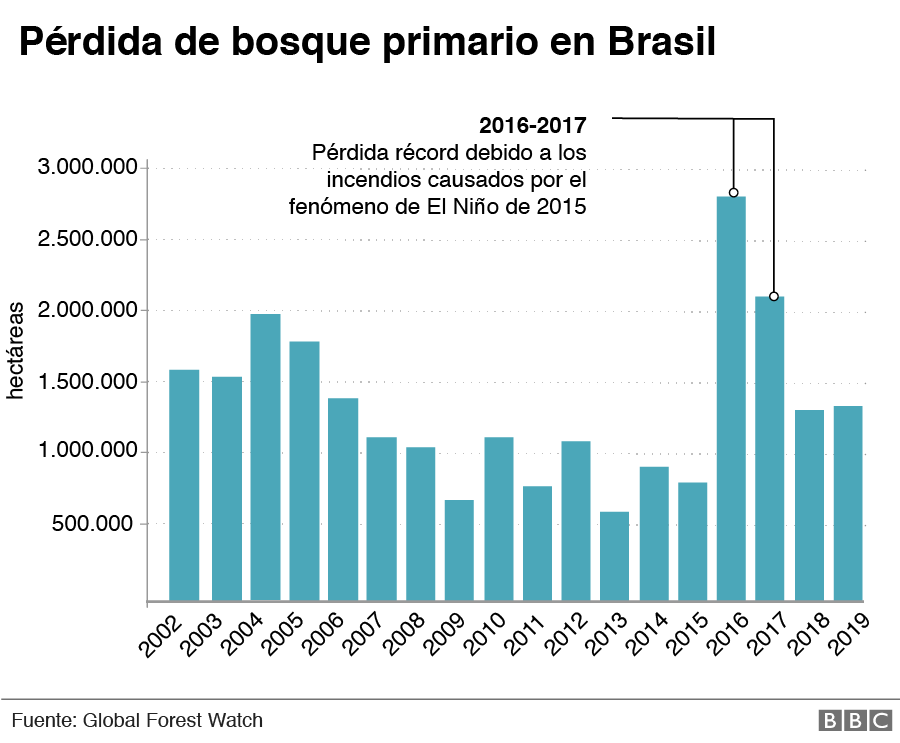 Pérdida de bosque primario en Brasil.