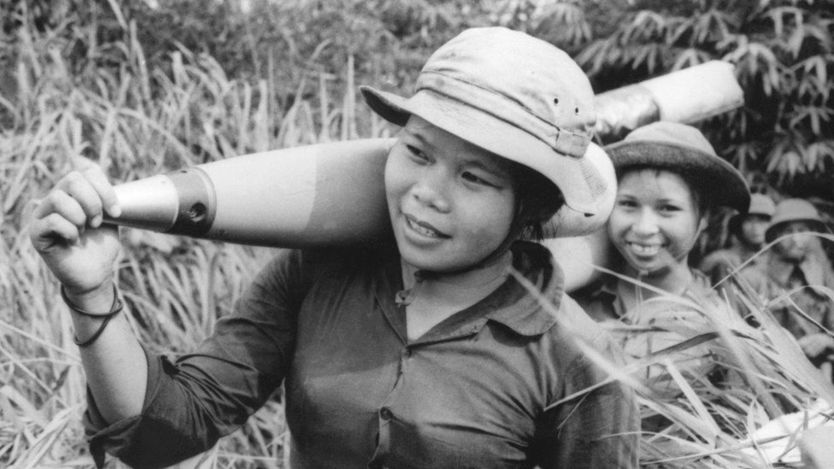 Du kích Việt Nam