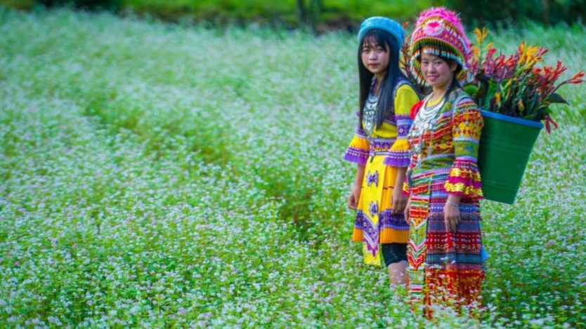Người Hmong ở Việt Nam: Chăm lo cho người dân tộc thiểu số cũng là vấn đề lớn