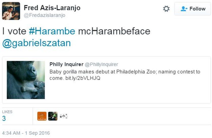 Tweet from 1 September saying "I vote #Harambe McHarambeface