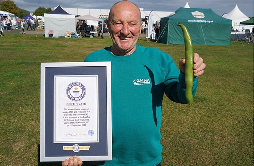 Check out these massive recordbreaking vegetables! BBC Newsround