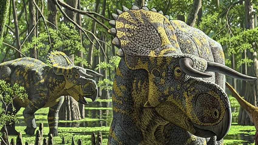 Artist's impression of Nasutoceratops titusi
