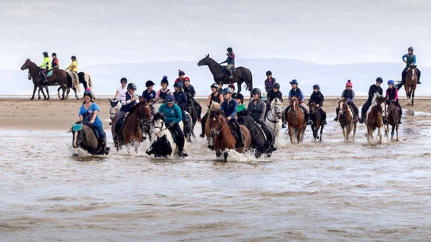 Group of riders on their horses enter the water