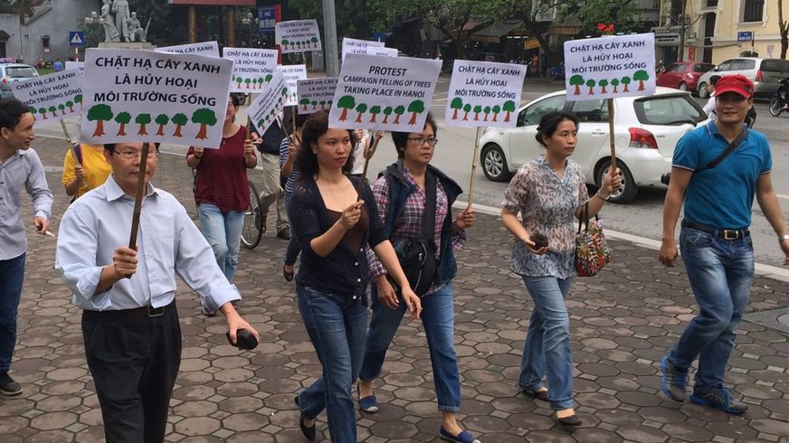 Tác giả xem phong trào ủng hộ cây ở Hà Nội năm 2015 mở đầu cho các phong trào xã hội trên mạng