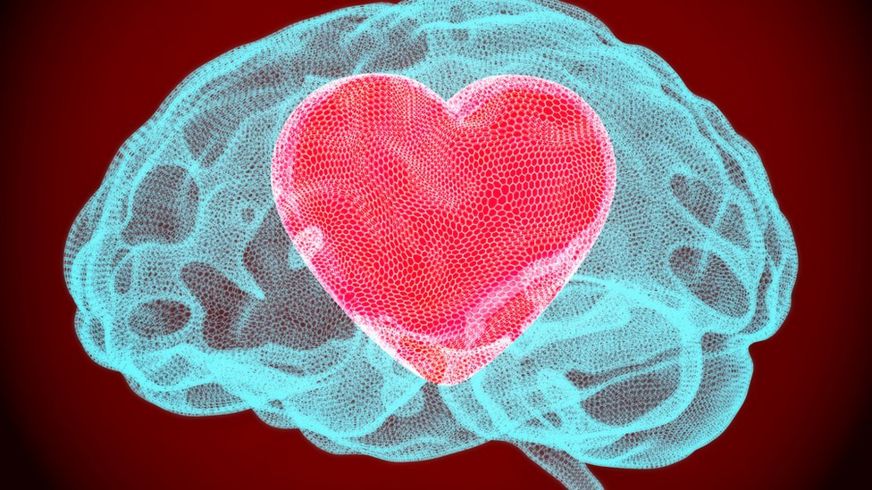 Imagen de un cerebro con un corazón dentro