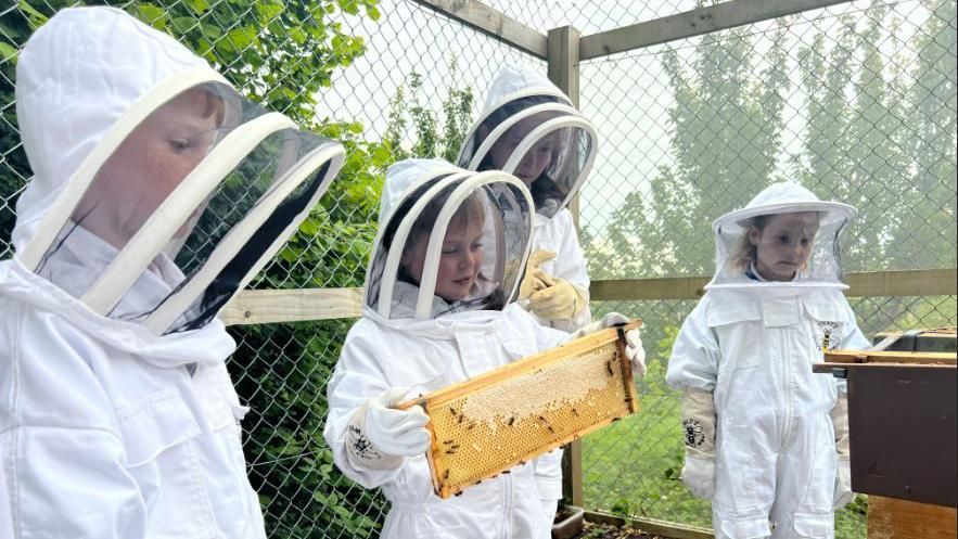 Children with the bee hive