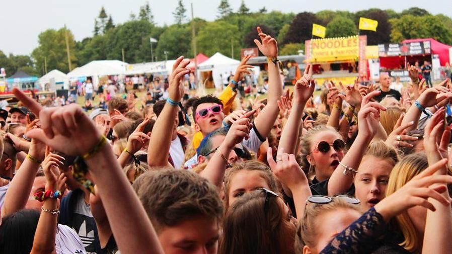 Music lovers with hands in the air at festival