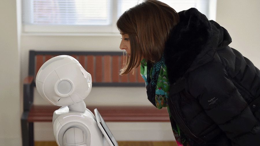 Pepper robot looking at person