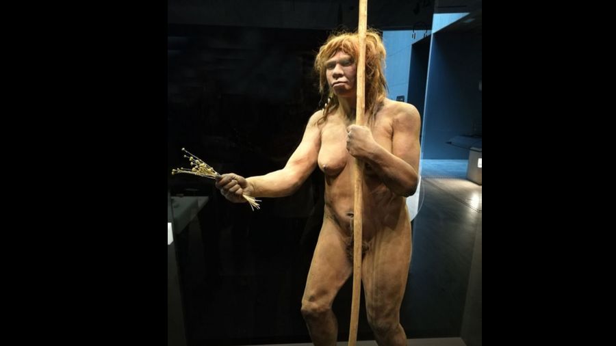 Репродукция неандертальской женщины