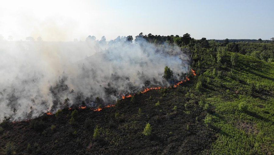 Fernsham Common wildfire