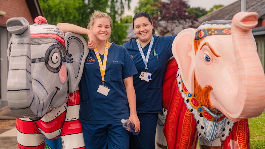 Painted elephants and hospice staff