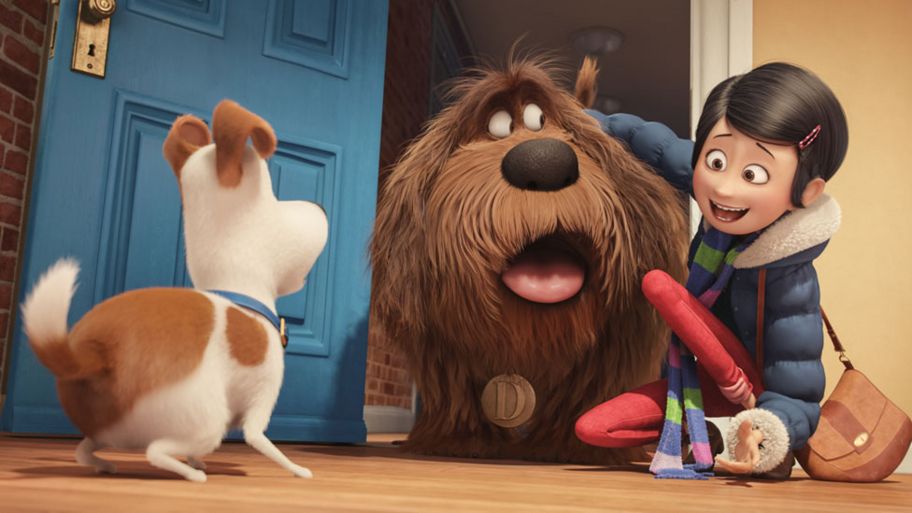 Secret Life Of Pets Film Sequel Gets Go Ahead Cbbc Newsround