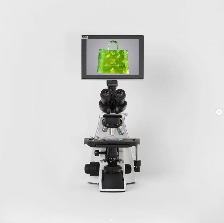 A microscope shows a digital image of the microscopic handbag