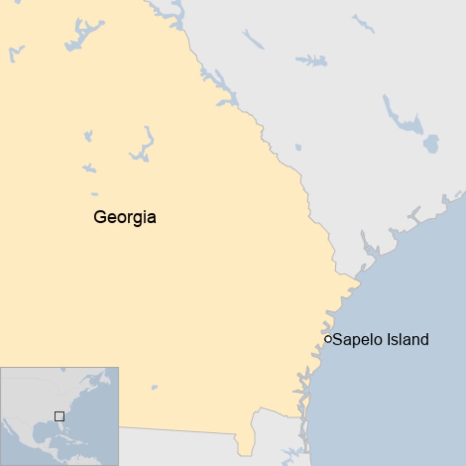 Map: Map showing part of the US state of Georgia and its Sapelo Island