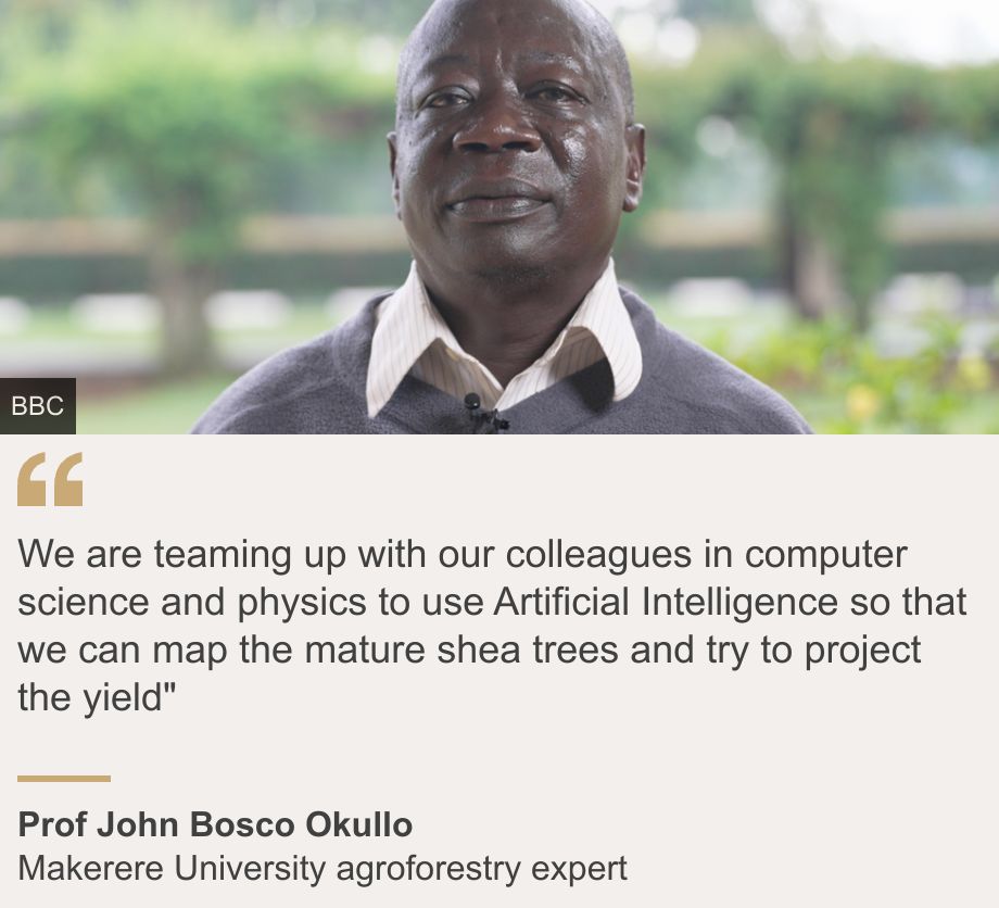 "We are teaming up with our colleagues in computer science and physics to use Artificial Intelligence so that we can map the mature shea trees and try to project the yield"", Source: Prof John Bosco Okullo, Source description: Makerere University agroforestry expert, Image: John Bosco Okullo