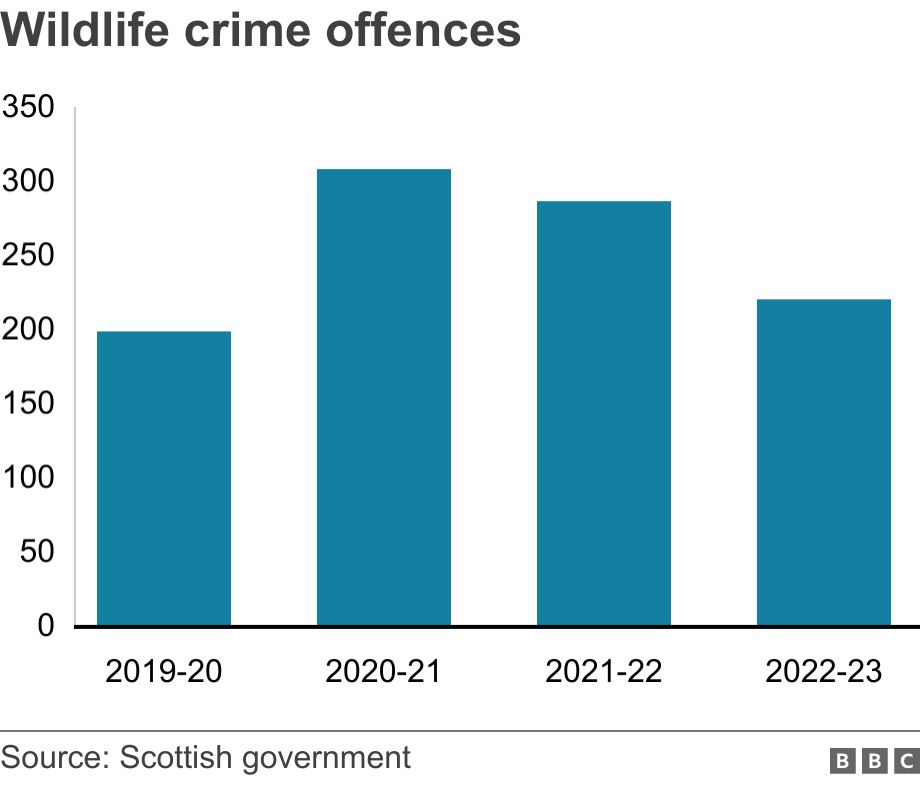 Wildlife crime offences. . A graph showing numbers of wildlife offences over the last four years. .