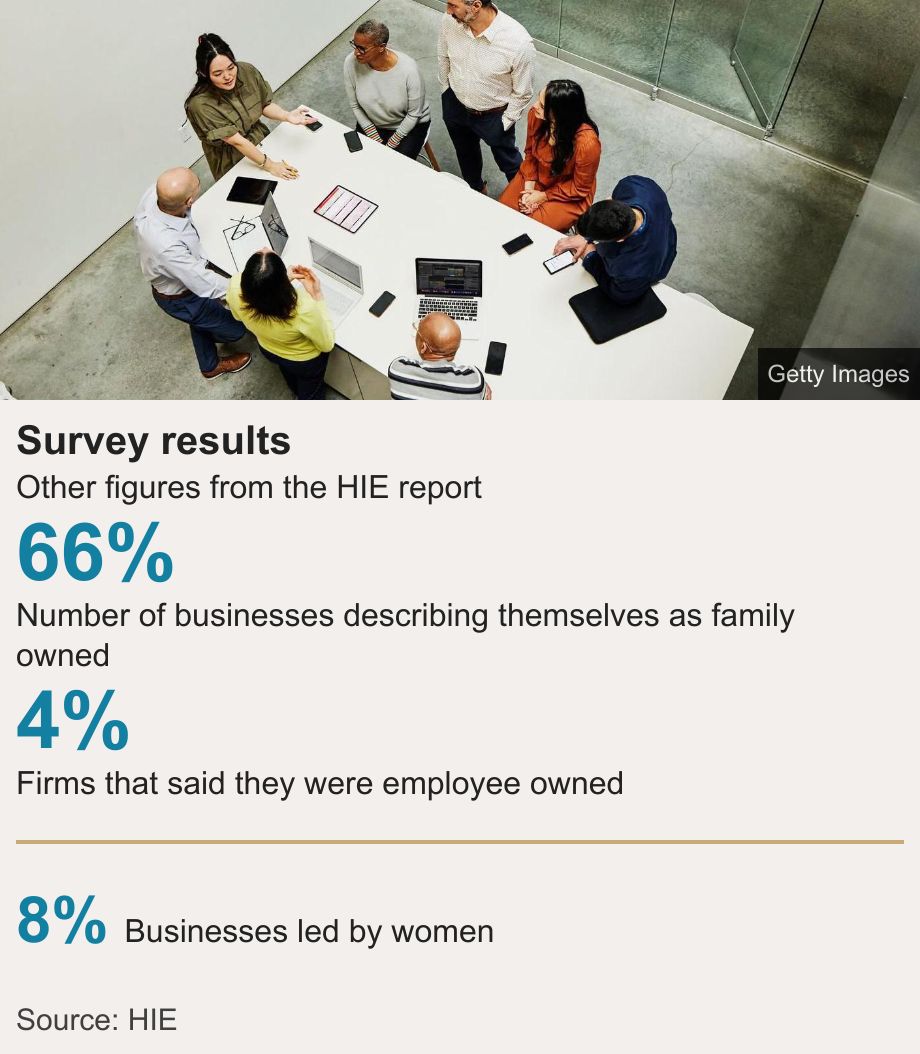 Survey results. Other figures from the HIE report [ 66% Number of businesses describing themselves as family owned ],[ 4% Firms that said they were employee owned
 ] [ 8% Businesses led by women ], Source: Source: HIE, Image: A woman leads a business meeting inside an office. There are laptops set out on a large white table.