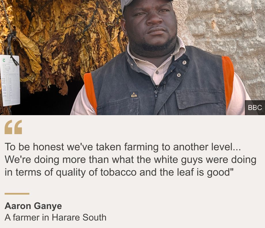 "To be honest we've taken farming to another level... We're doing more than what the white guys were doing in terms of quality of tobacco and the leaf is good"", Source: Aaron Ganye, Source description: A farmer in Harare South, Image: Aaron Ganye