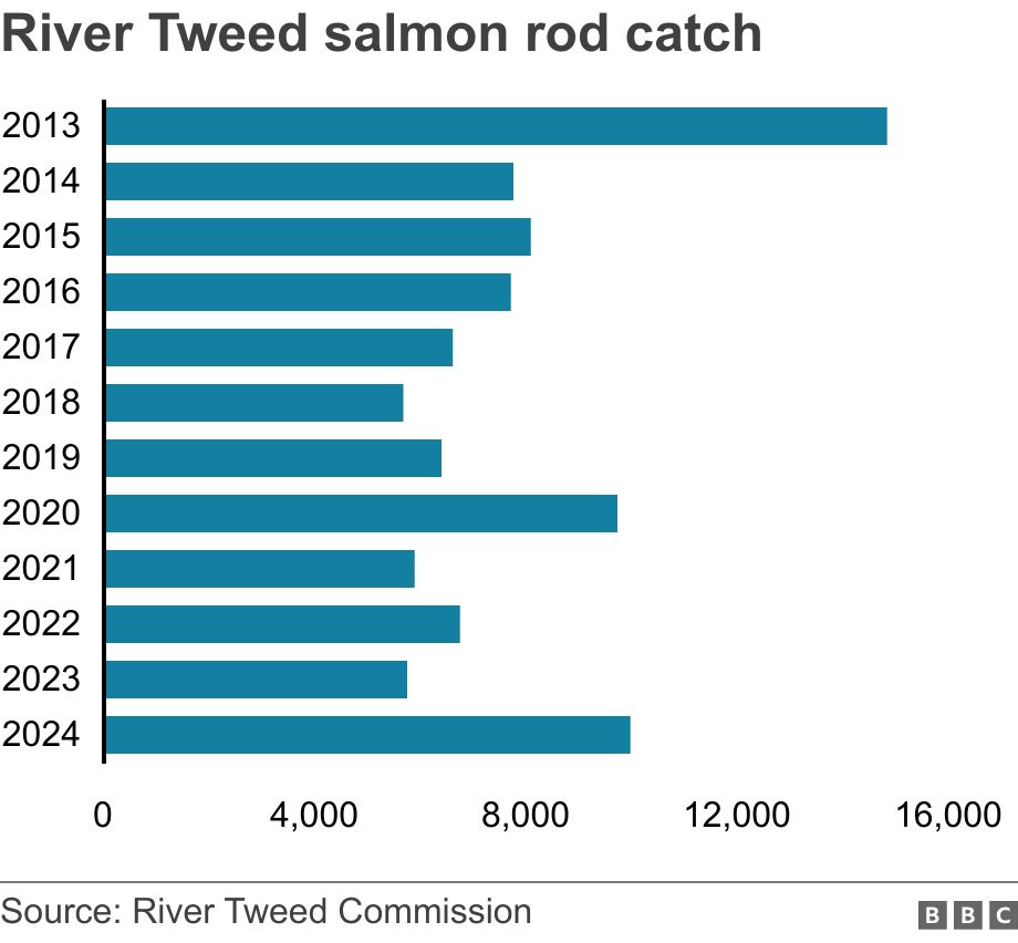 River Tweed salmon rod catch. .  .