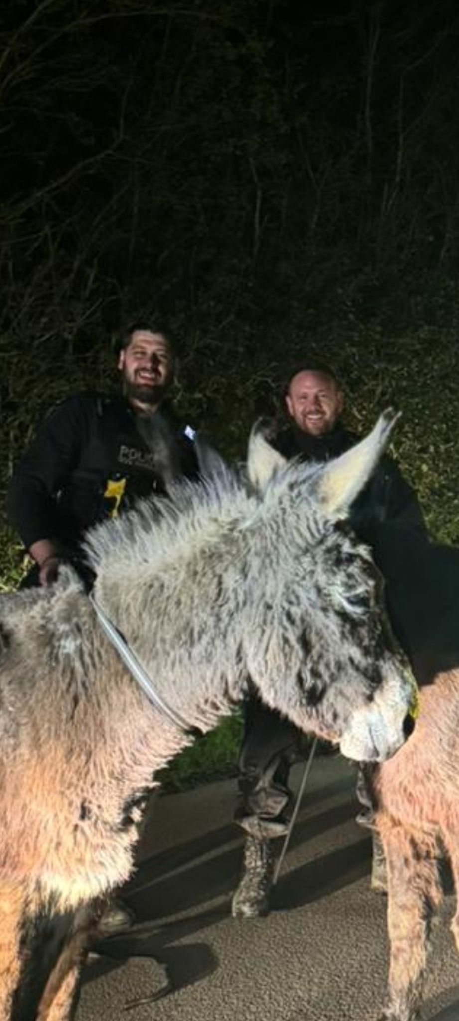 Two police officers with the donkeys