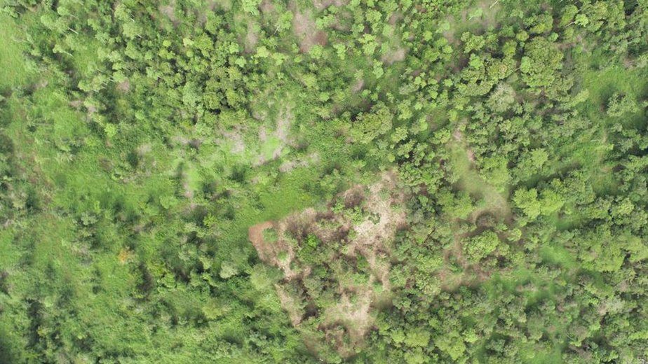 Drone image of a degraded forest in Malaysian Borneo
