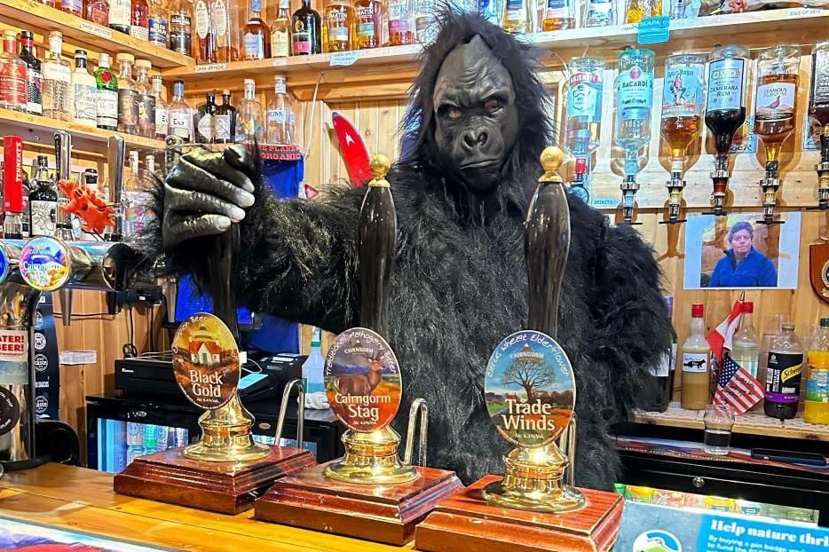 Gorilla suit at Pine Marten Bar in Glenmore