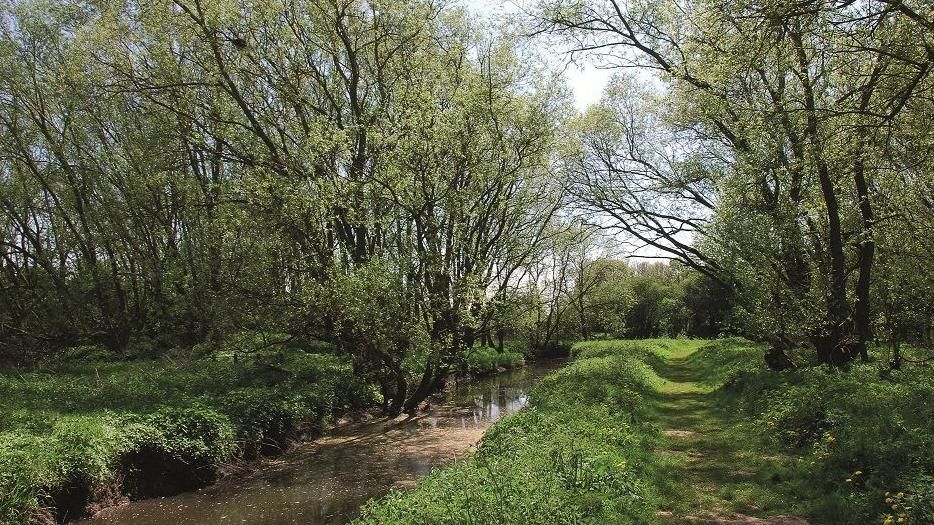 Billingham Beck Valley Country Park 