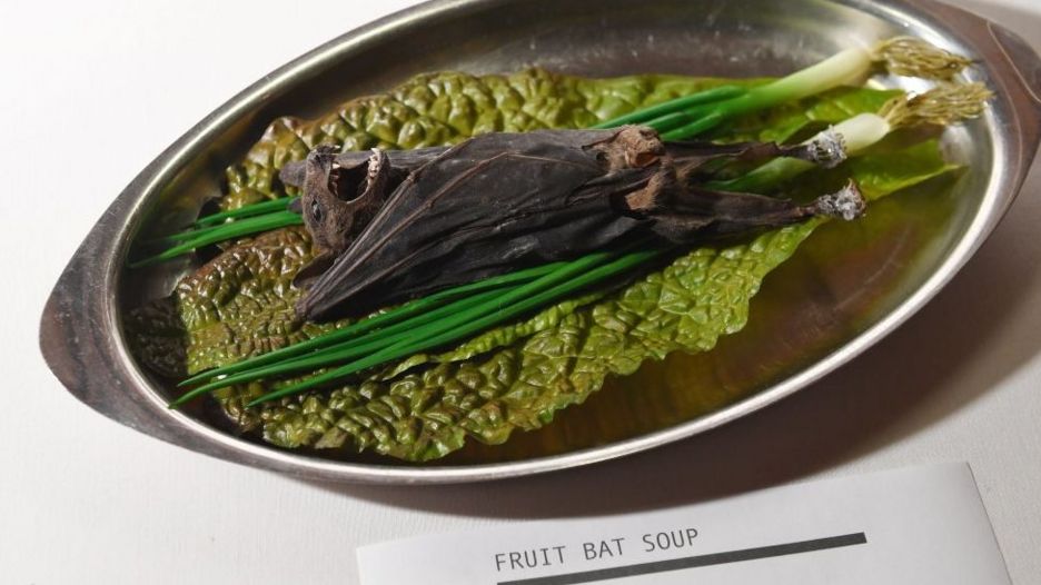 Disgusting Food Museum opening in Los Angeles on December 9, 2018, with the aim of exposing visitors to different cultures and foods and what we may all be eating in the future.