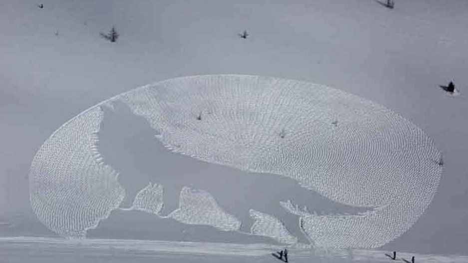 Howling wolf in snow