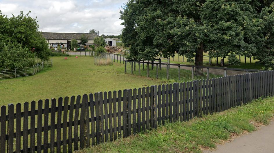 The Cat Survival Trust grounds in Codicote, with a picket fence in the foreground
