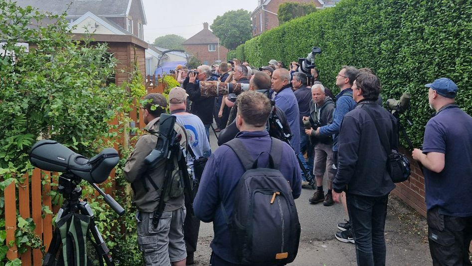 A crowd of men with cameras surround a residential garden