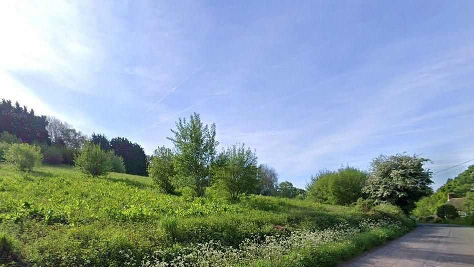 A view of a sloping field on the border of Ledbury Road, populated by long grasses and shrubs.