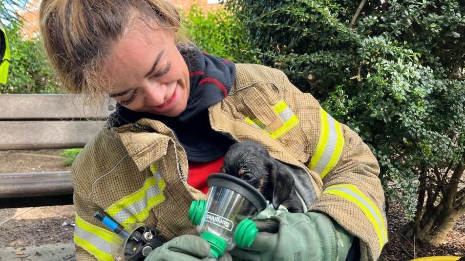 Firefighter giving oxygen to a puppy