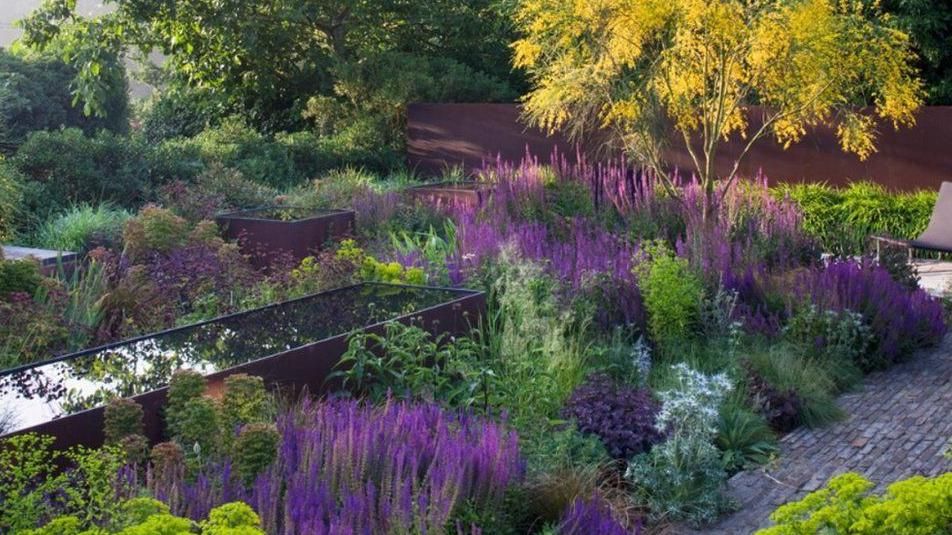 Mr Stuart-Smith's own garden in Hertfordshire
