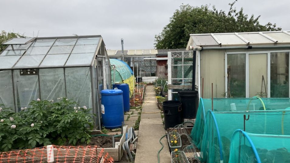 Greenhouses and water butts at the Carr Lane allotments in Grimsby