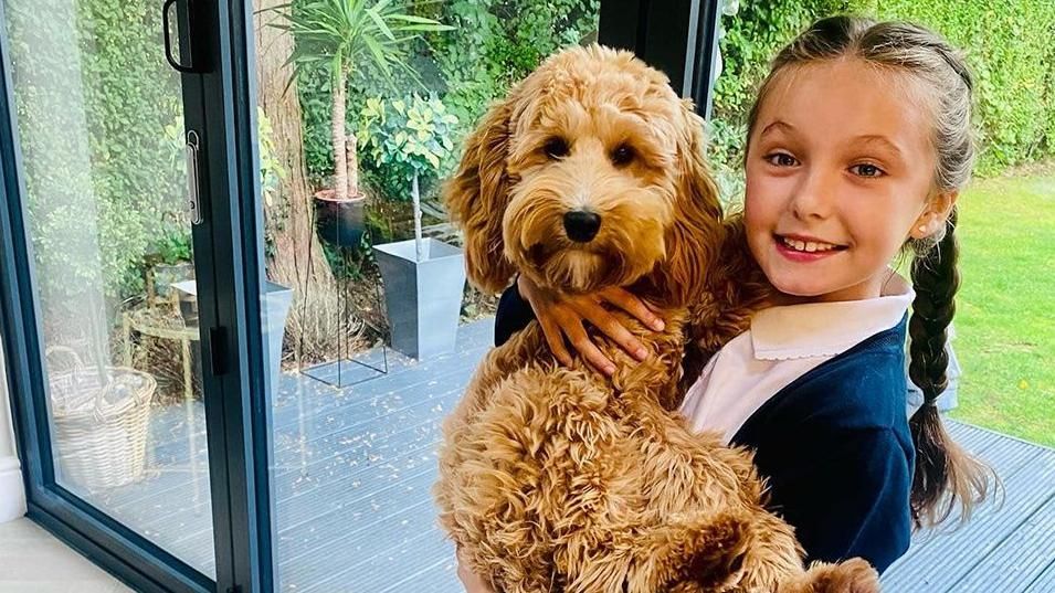 A little girl in school uniform with two plaits holding a puppy. 