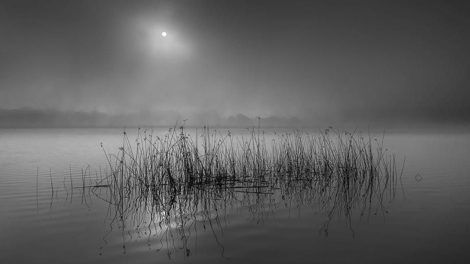 Dawn at Loch Ken