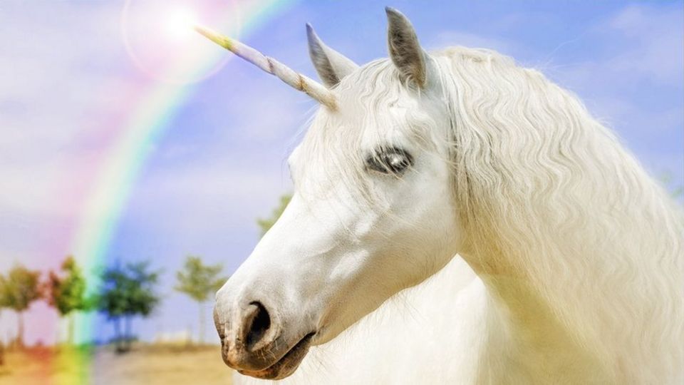 unicorn image