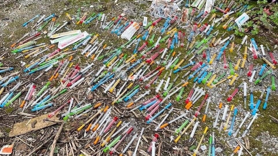 Picture of needles found on litter picks