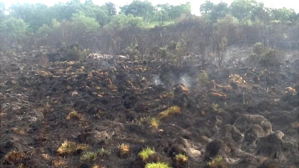 Chobham Common heathland damaged in fire - BBC News