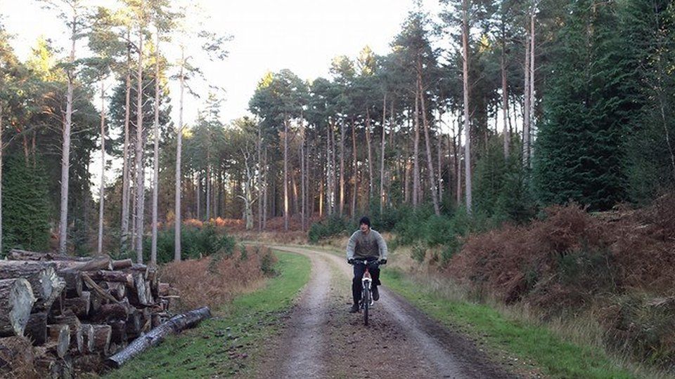 Cyclist in the New Forest