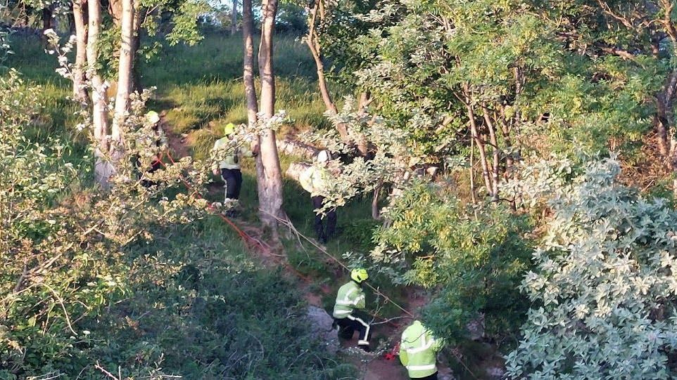 Five fire fighters wearing their hi-vis uniforms and helmets holding a long red rope. They are surrounded by trees and bushes