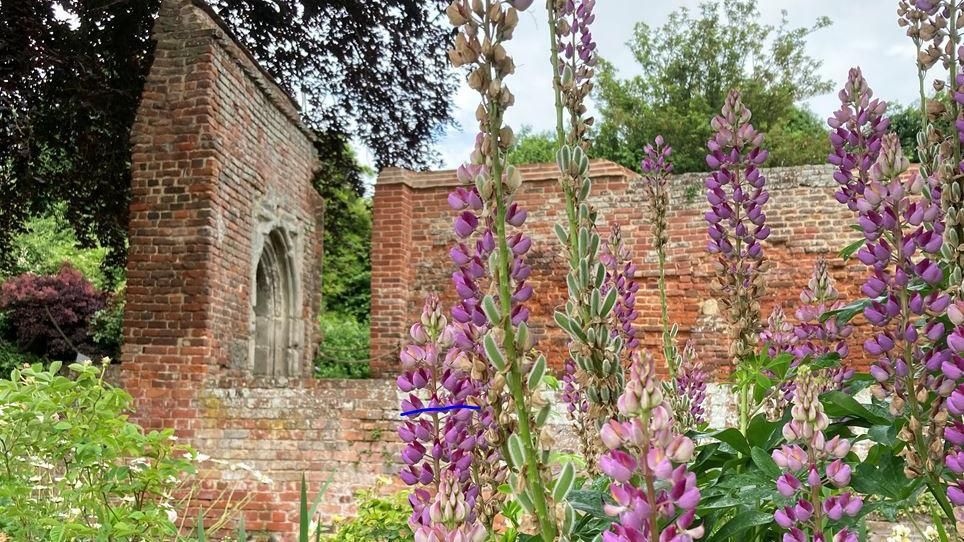 Franciscan Gardens in Canterbury