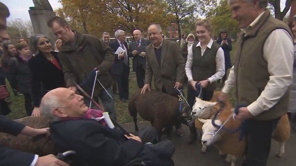 Freedom of Salford recipient Harold Riley takes up his right to drive sheep through the city.