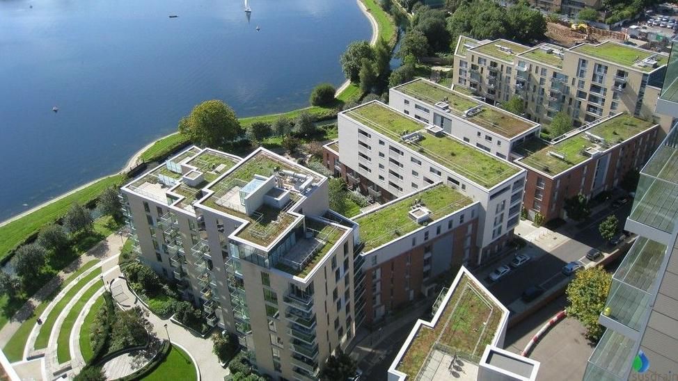 Green roof in central London