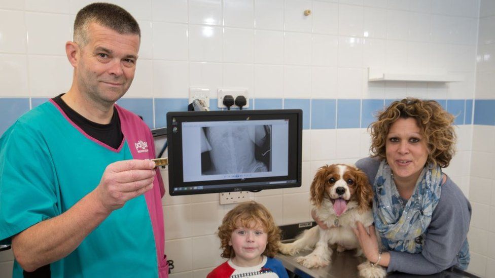 David Jones, Cameron Mellor, Cyril the spaniel, Lesley Mellor. Pic: PDSA