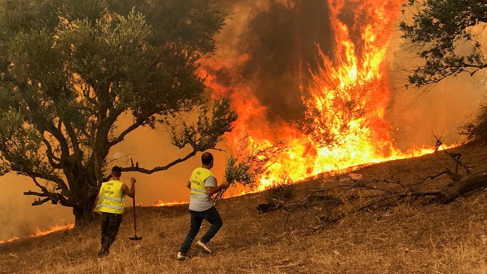 Мужчины пытаются потушить пожар в деревне Ибудрарен в горном районе Кабили в Тизи-Узу, к востоку от Алжира, Алжир, 12 августа 2021 года.