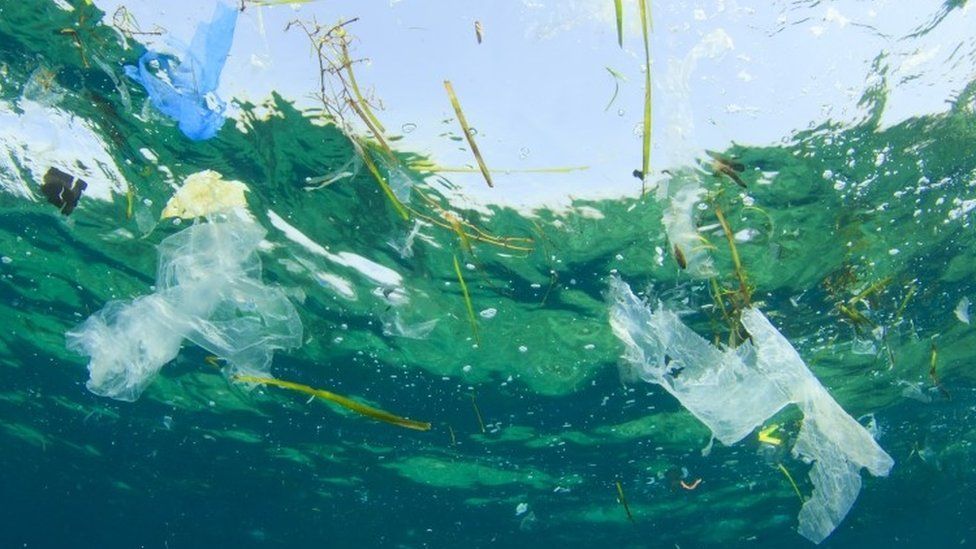 Plastic rubbish in the sea